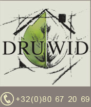 Druwid